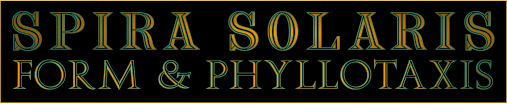 SPIRA SOLARIS: Form and Phyllotaxis